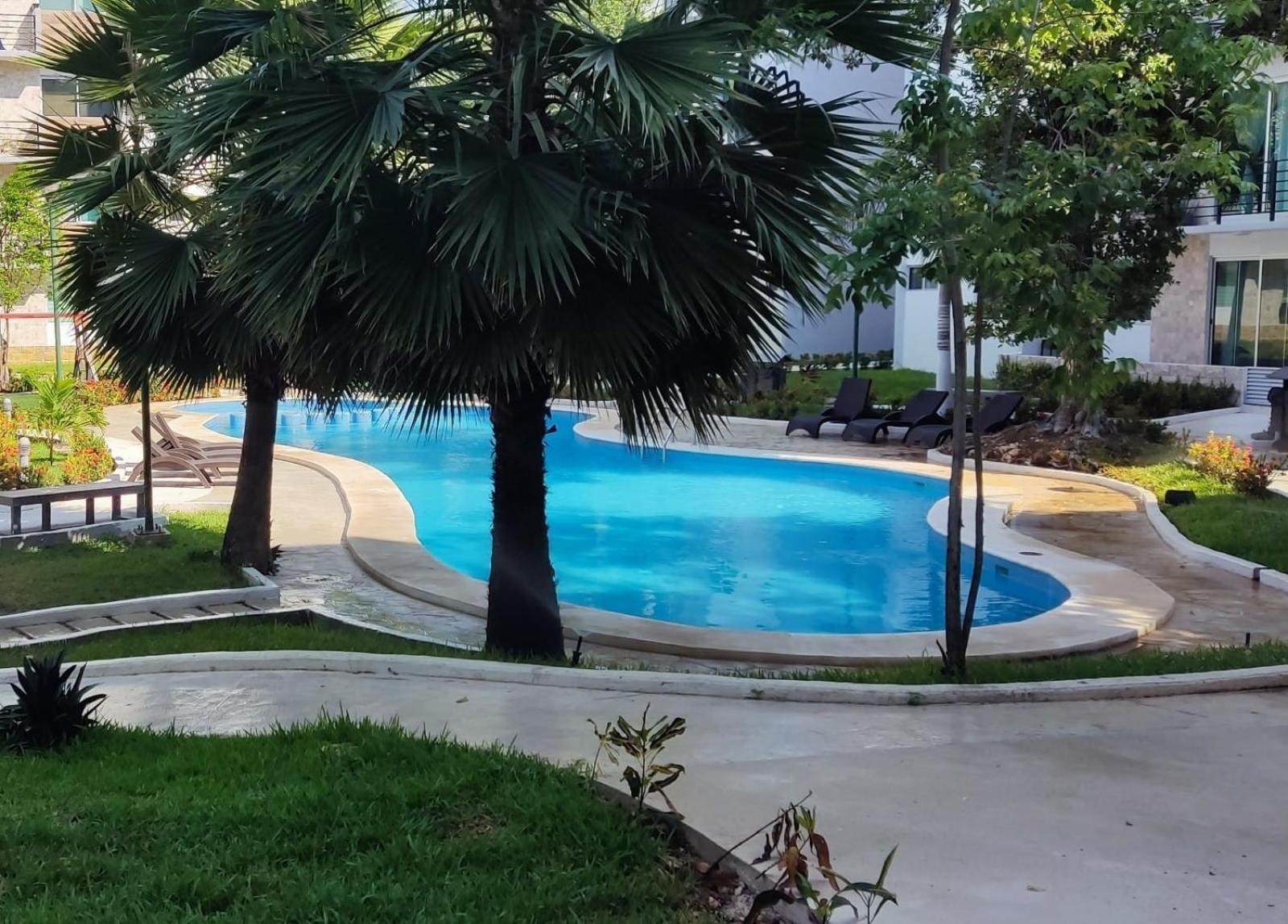 Apartment Depa Familiar Pb 6pax Con Alberca Rodeado De Restaurantes Zona Segura