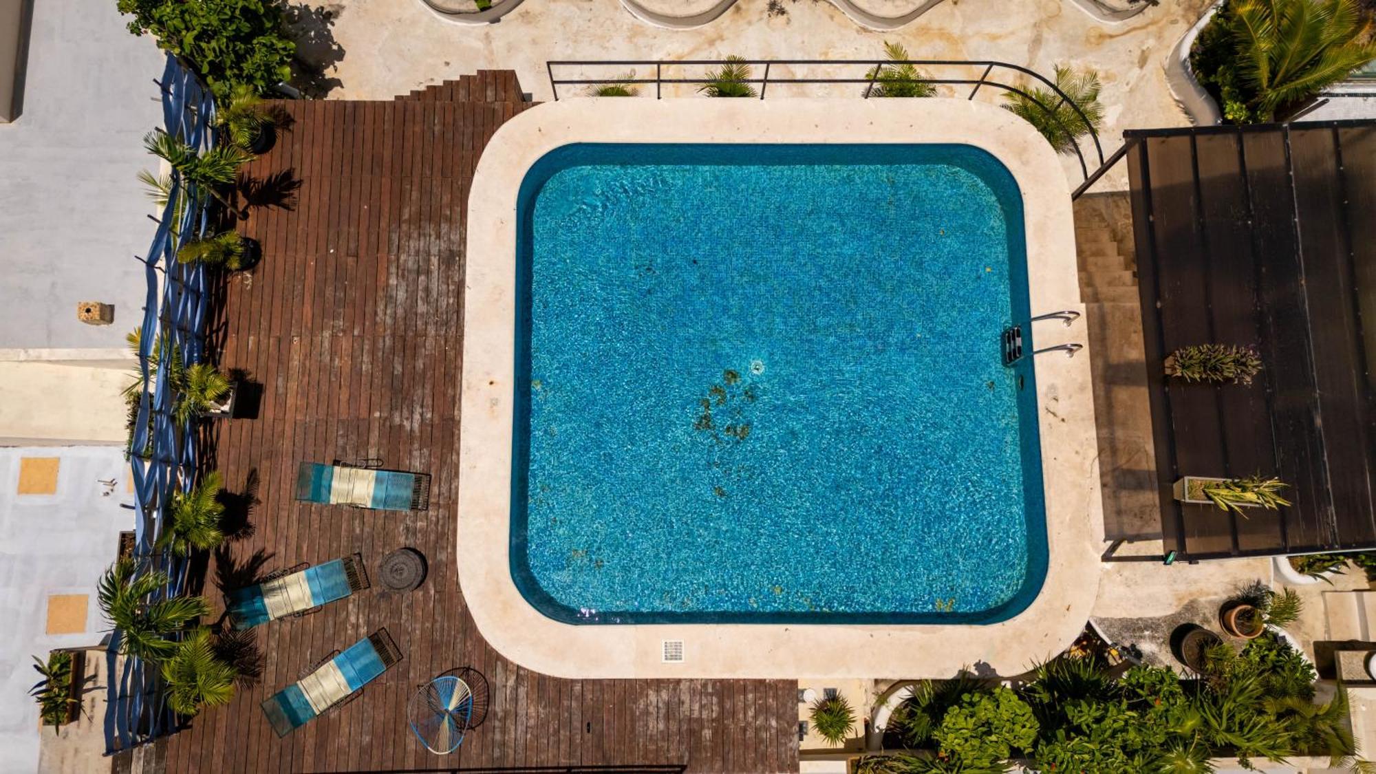 Encanto Riviera Caminando De 5th Ave Apartment Playa del Carmen