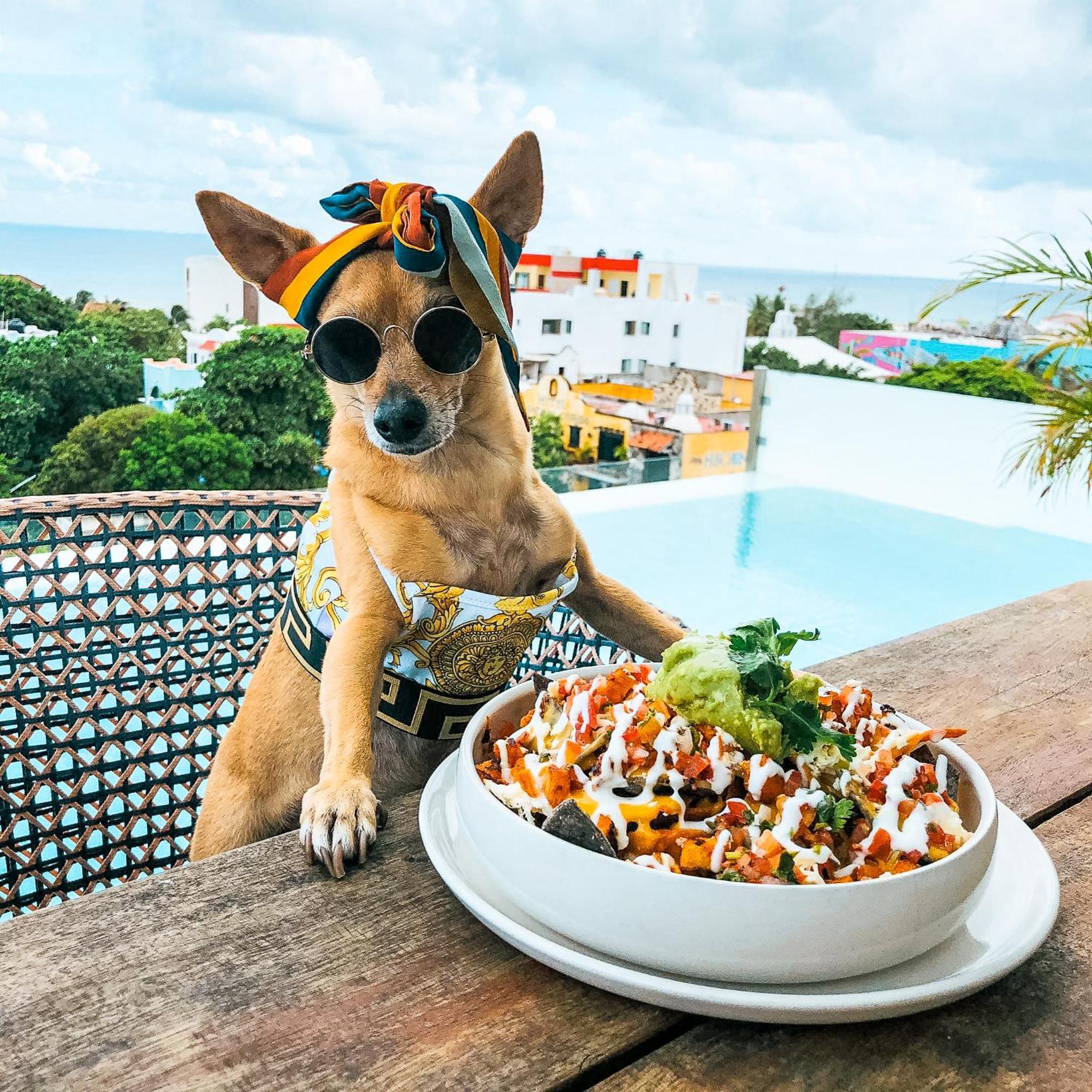 The Fives Downtown & Residences, Curio Collection By Hilton 4* Playa del Carmen