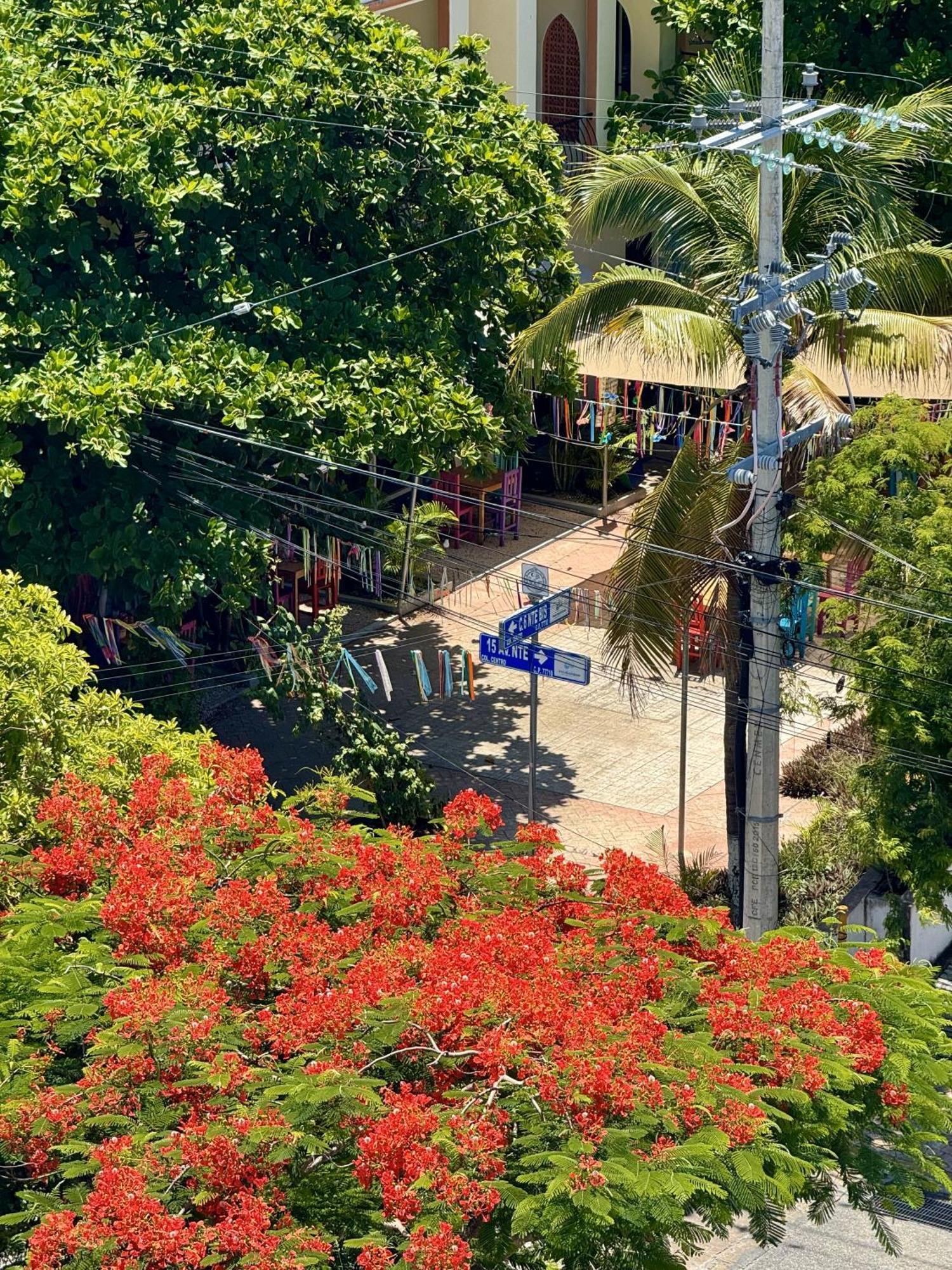 Guest house Mini By Illusion Playa del Carmen