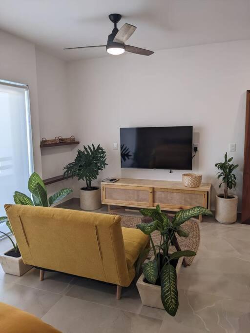 Apartment Brand New And Beautiful! Just Steps From The Playa del Carmen
