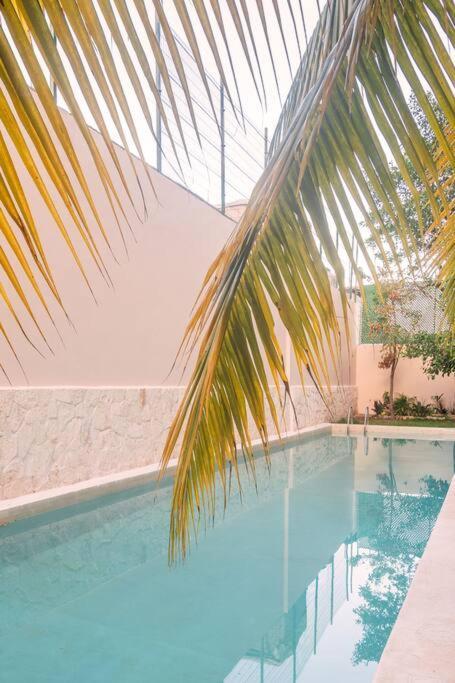 Brand New And Beautiful! Just Steps From The Playa del Carmen