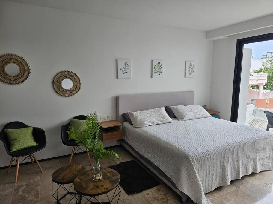 Apartment Departamento Quinta Avenida *