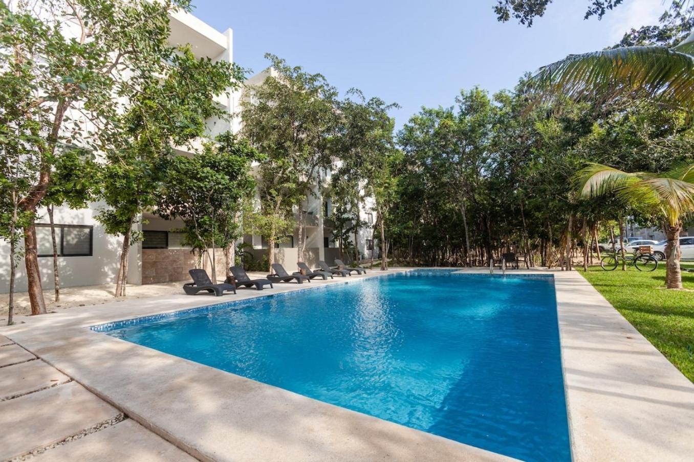 Omg! New Casa Tortuga10mincaribewifi 200mbgym Holiday home