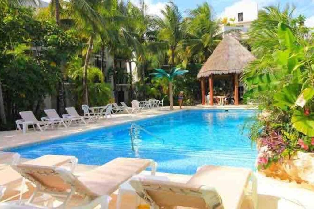 Apartment Huge Apartment, Steps To The & Lifestyle Playa del Carmen