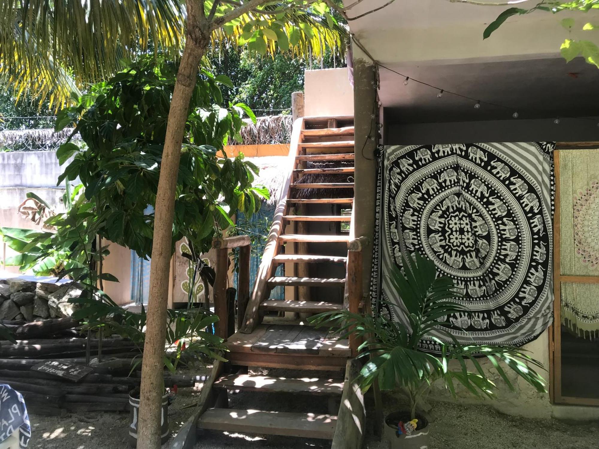 Guest house Quinta Salamandra *