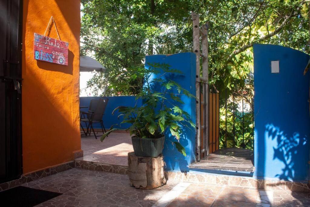 Appartement Casa Naranja
