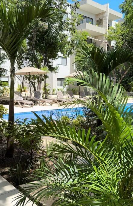 Apartamento Departamento Mi Valeria Linda Playa del Carmen