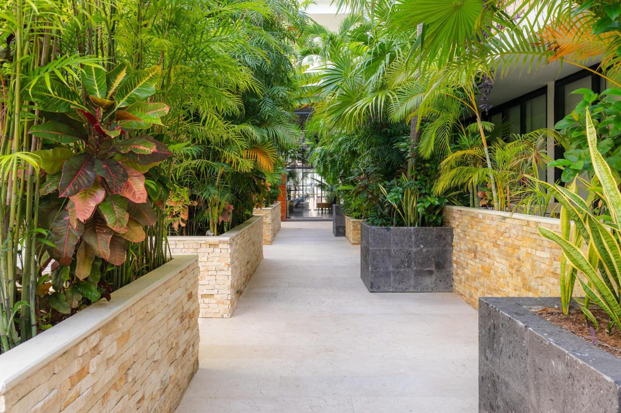 Tu Oasis En Appartement *