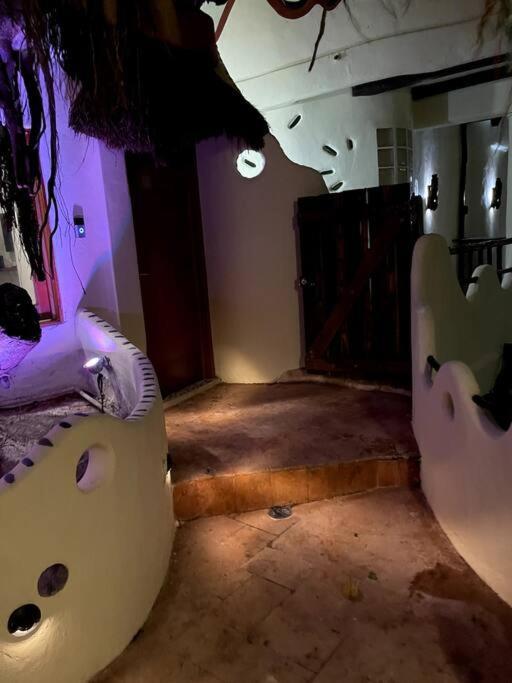 Jungle Meets Modern On 5th Avenue * Playa del Carmen