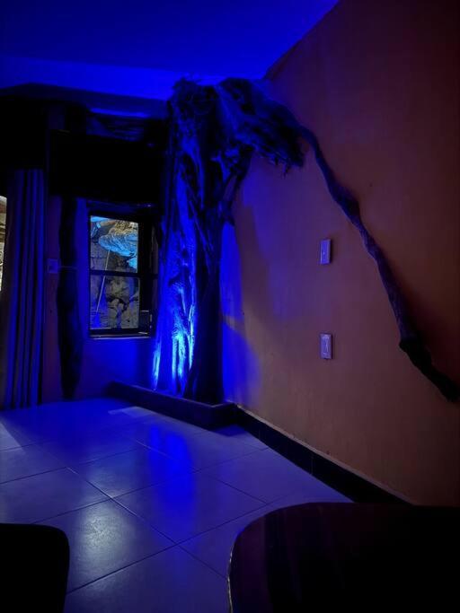 Appartement Jungle Meets Modern Cavern On 5th Ave *