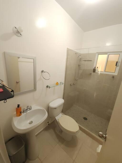 Tiny Apartment