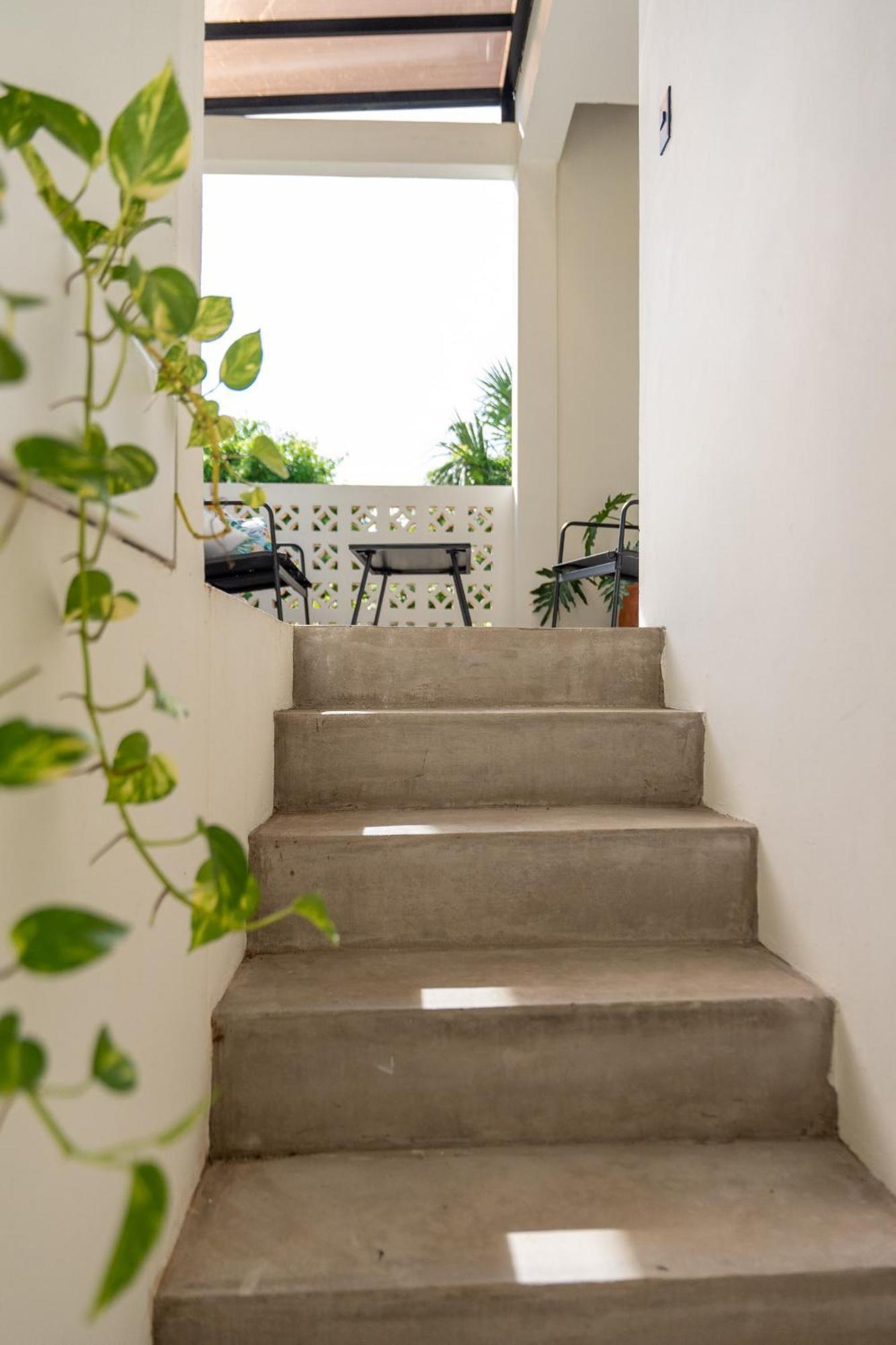 Guest house Casa Guapita *