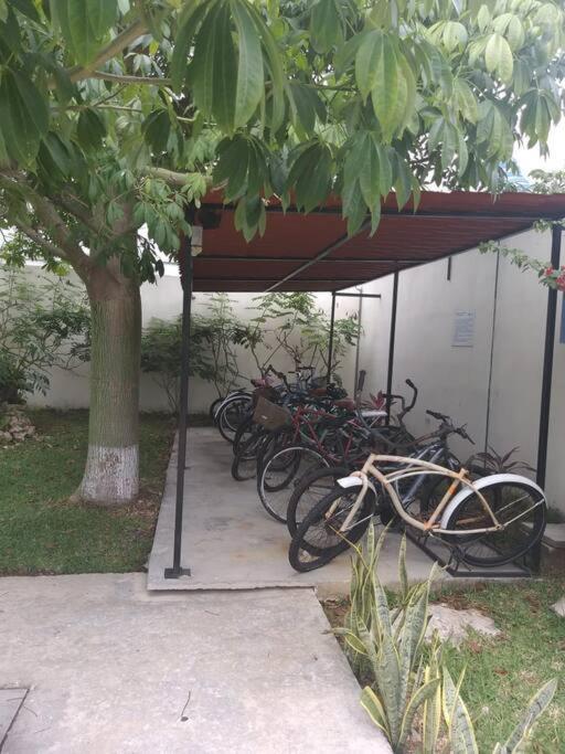Departamento En Playa Del Carmen, La Casa De Leo 3 Apartamento *