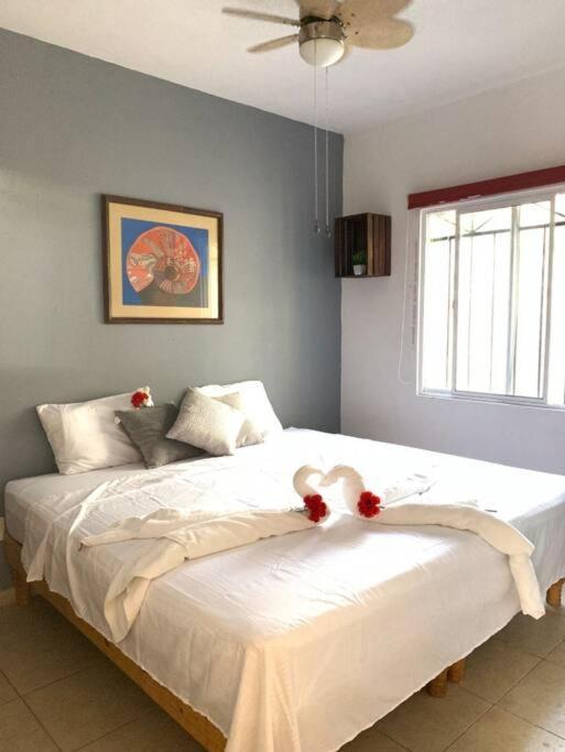 Departamento En Playa Del Carmen, La Casa De Leo 3 Apartamento