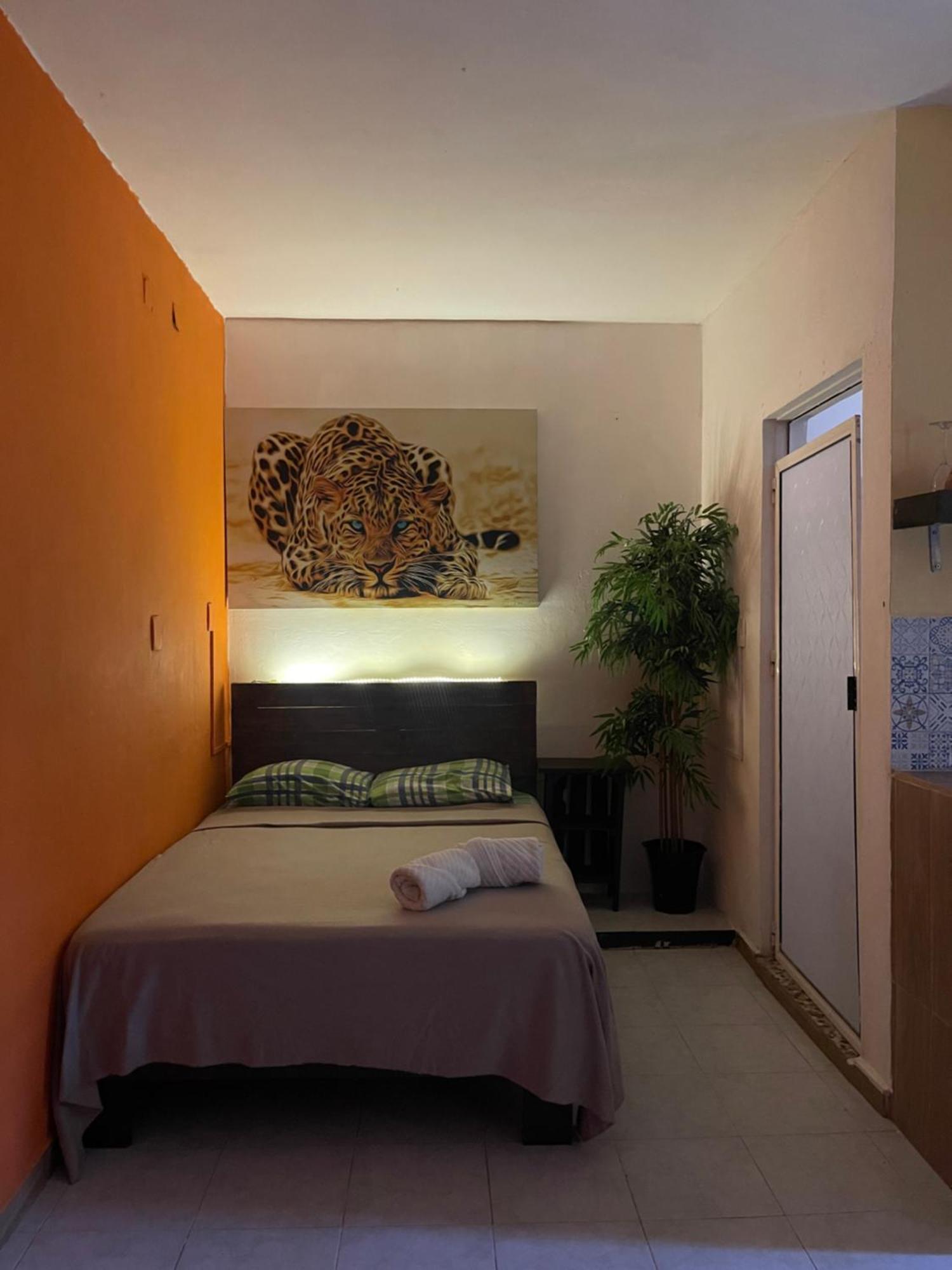 Appartement Casa Mar *