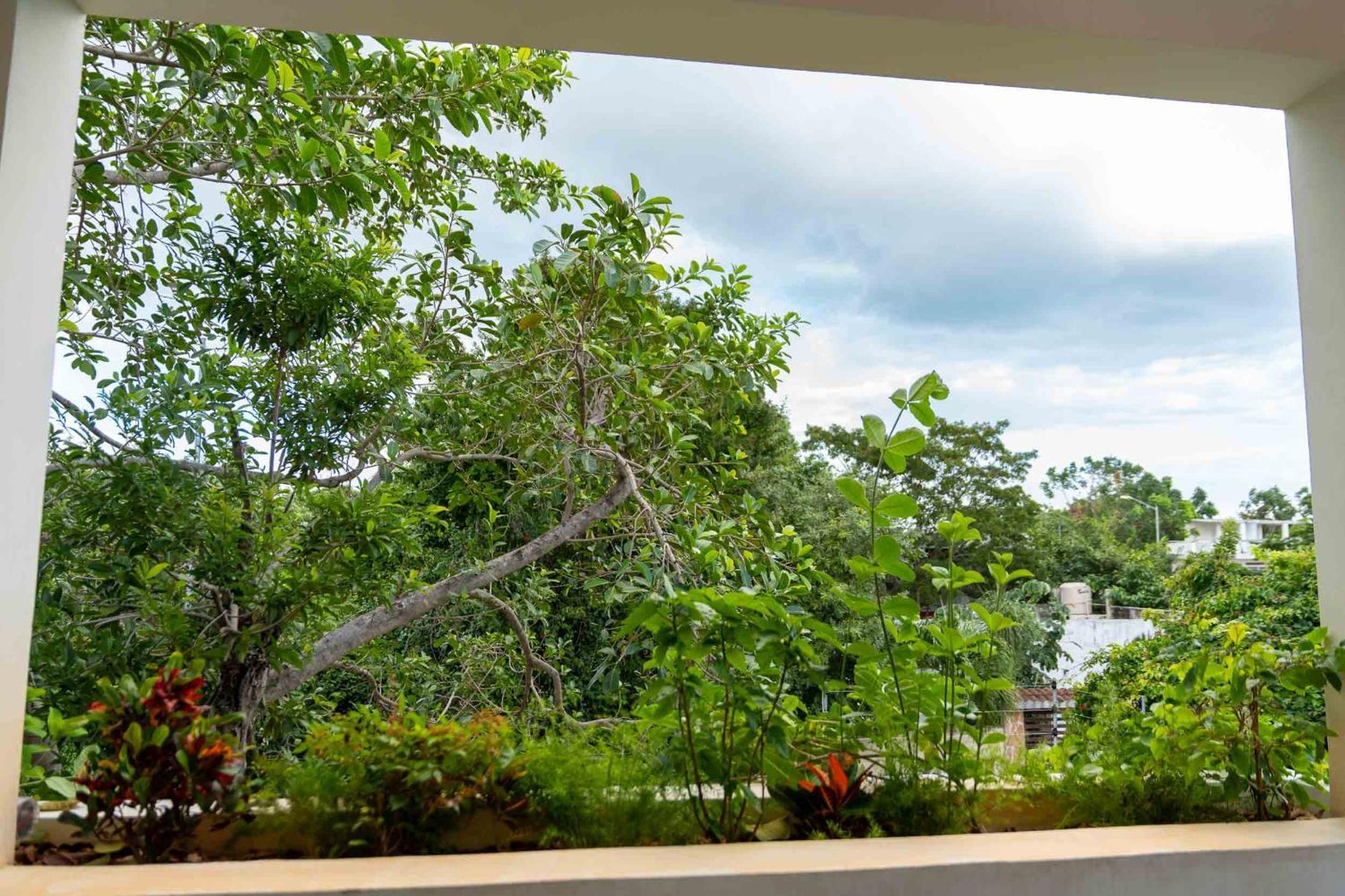 Guest house Casa Guapita Playa del Carmen