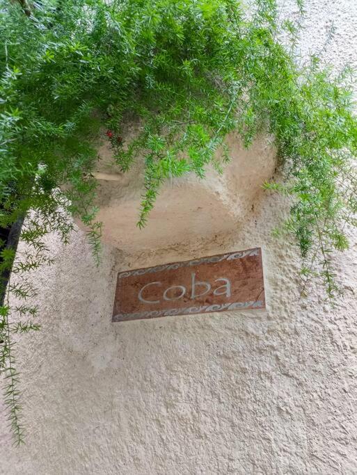 Location Playacar Steps From The Apartment Playa del Carmen