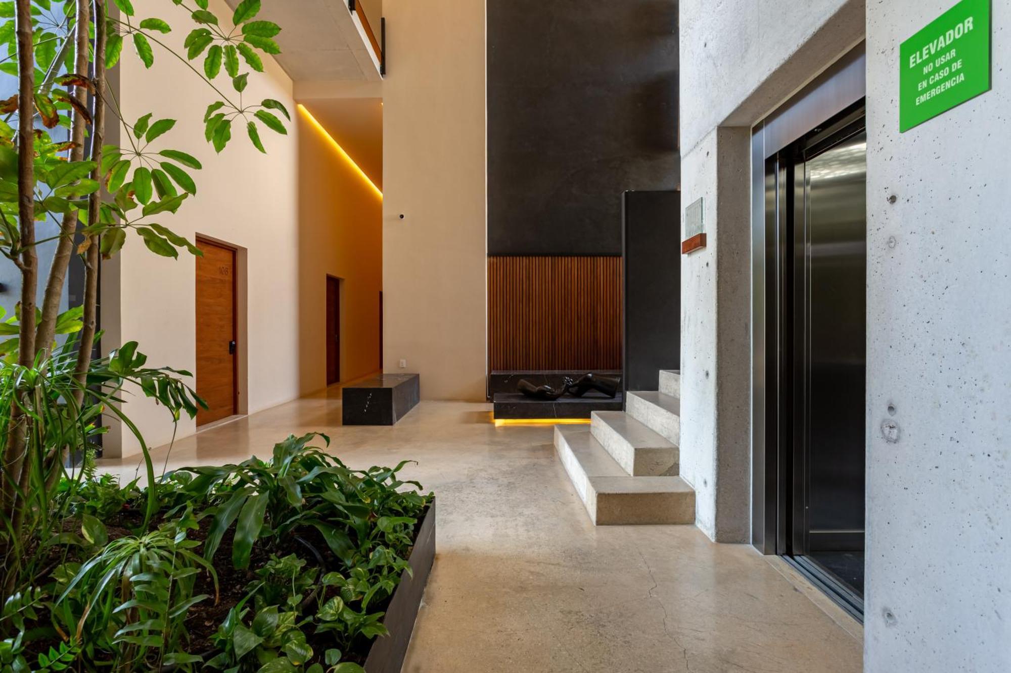 Appartement Tu Oasis En *