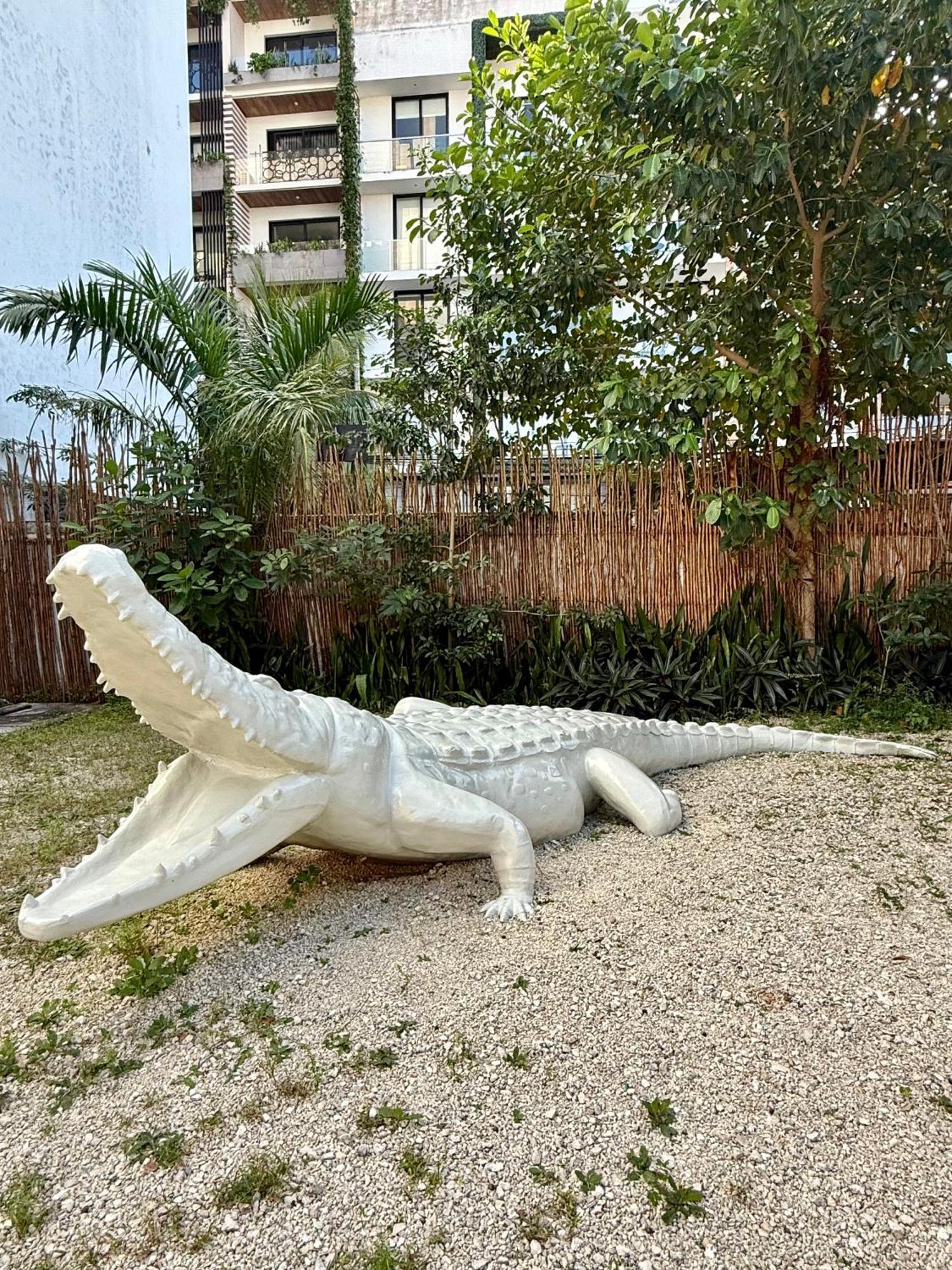Casa Caiman