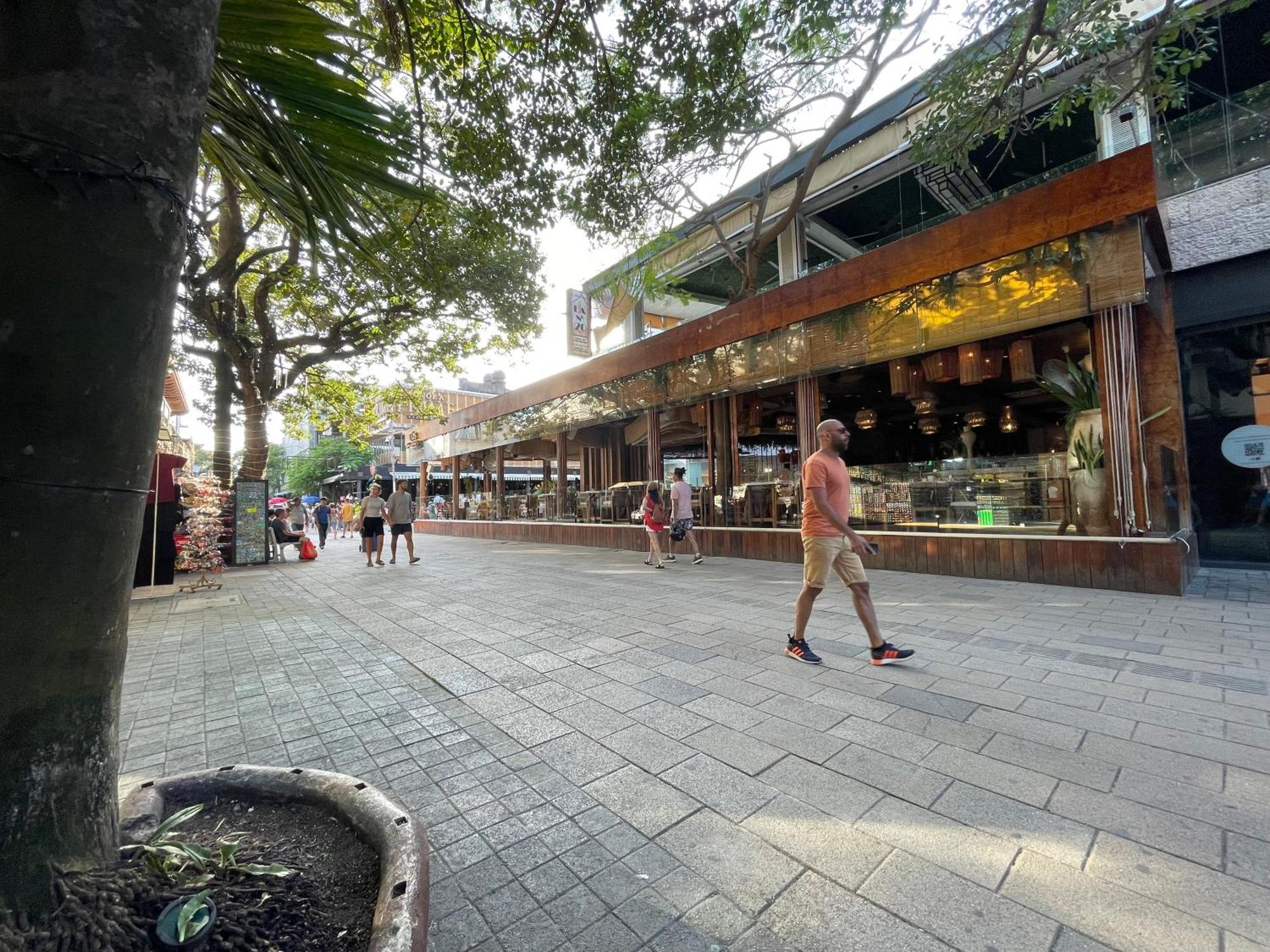 Treehouse Loft In Prime Location Appartement Playa del Carmen