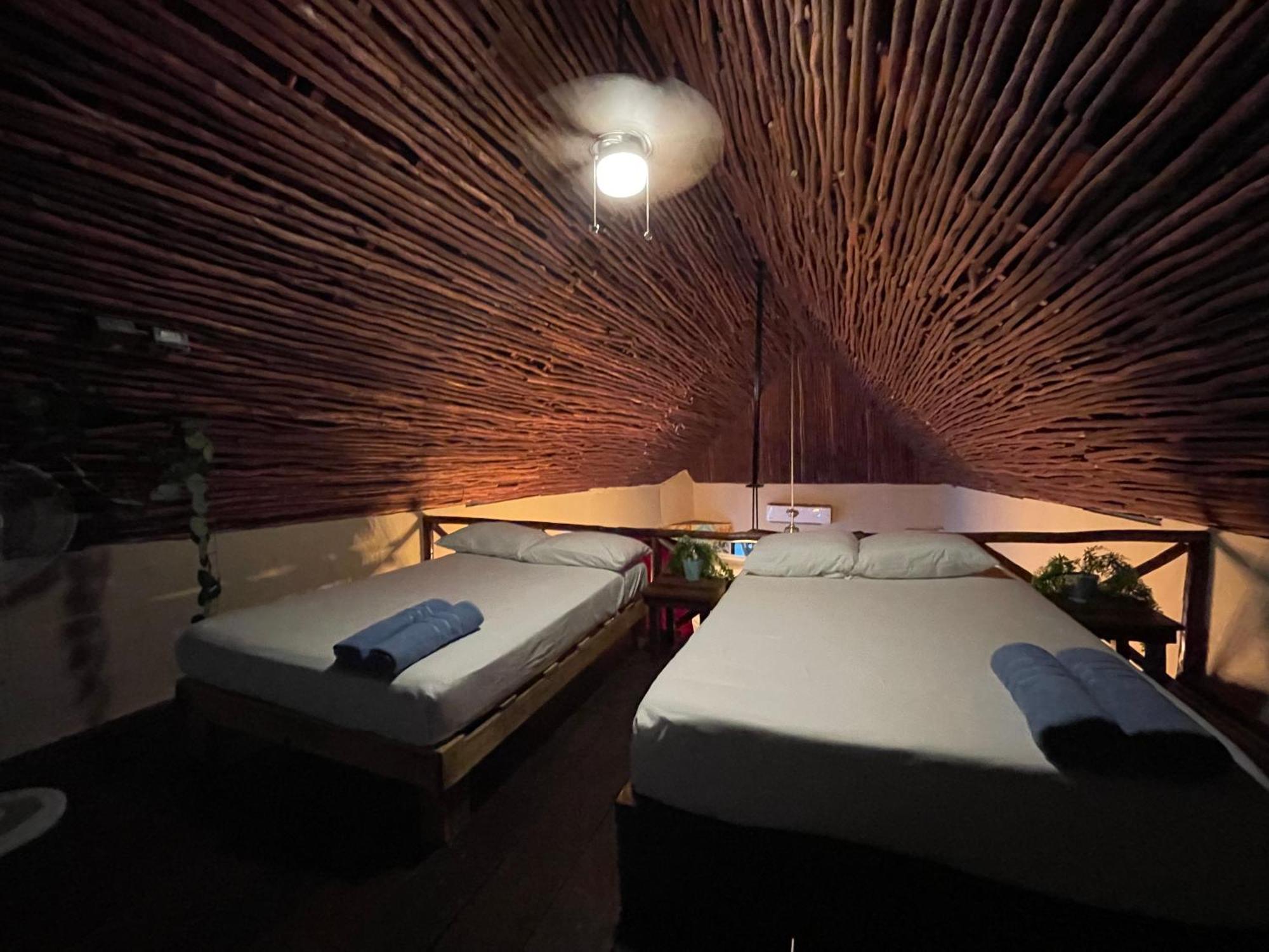 Appartement Treehouse Loft In Prime Location