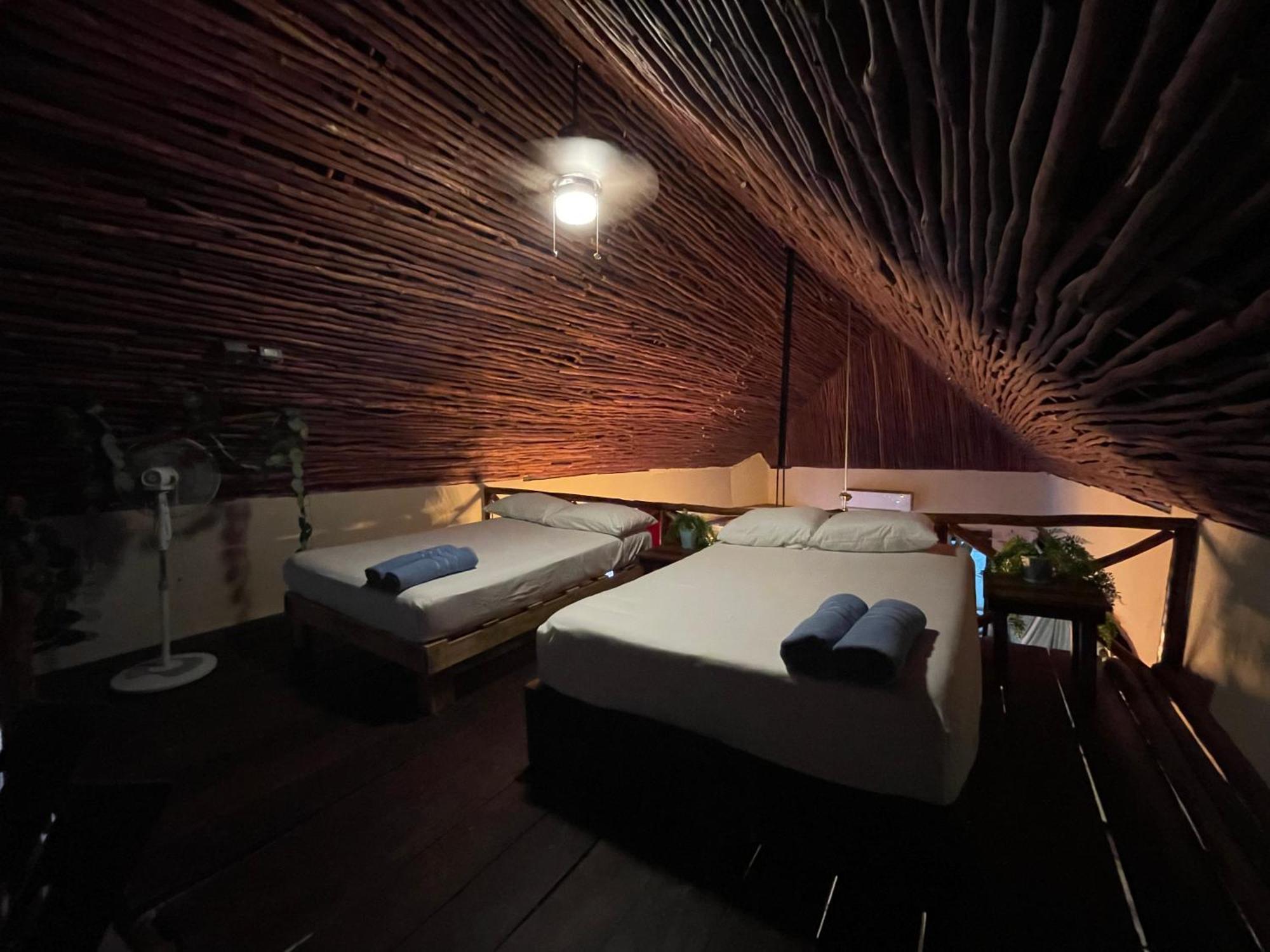 Appartement Treehouse Loft In Prime Location *