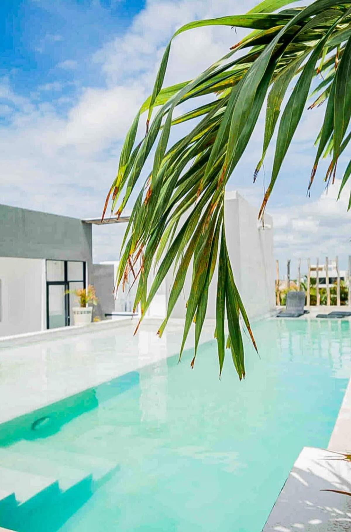 Joya De La Zazil 20 Av Rooftop Pool Walk To Playa Mamitas Coco & 5 *