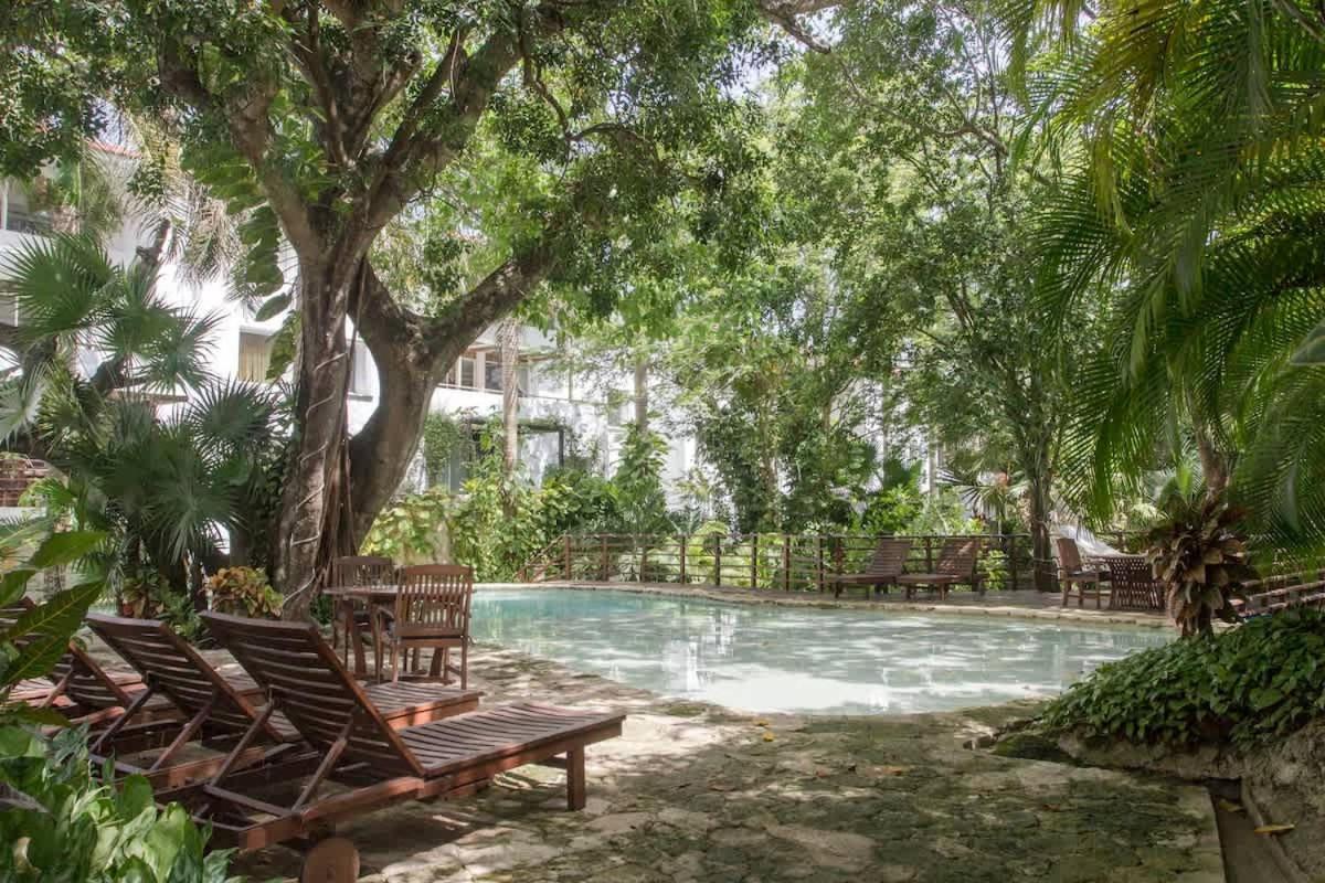 Tropical Oasis With Cenote & Pool Walk To Holiday home