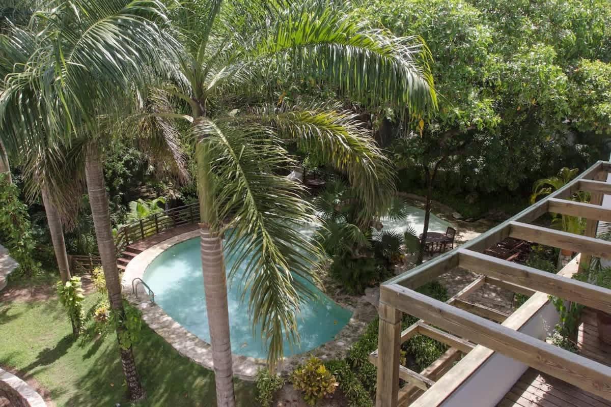 Tropical Oasis With Cenote & Pool Walk To