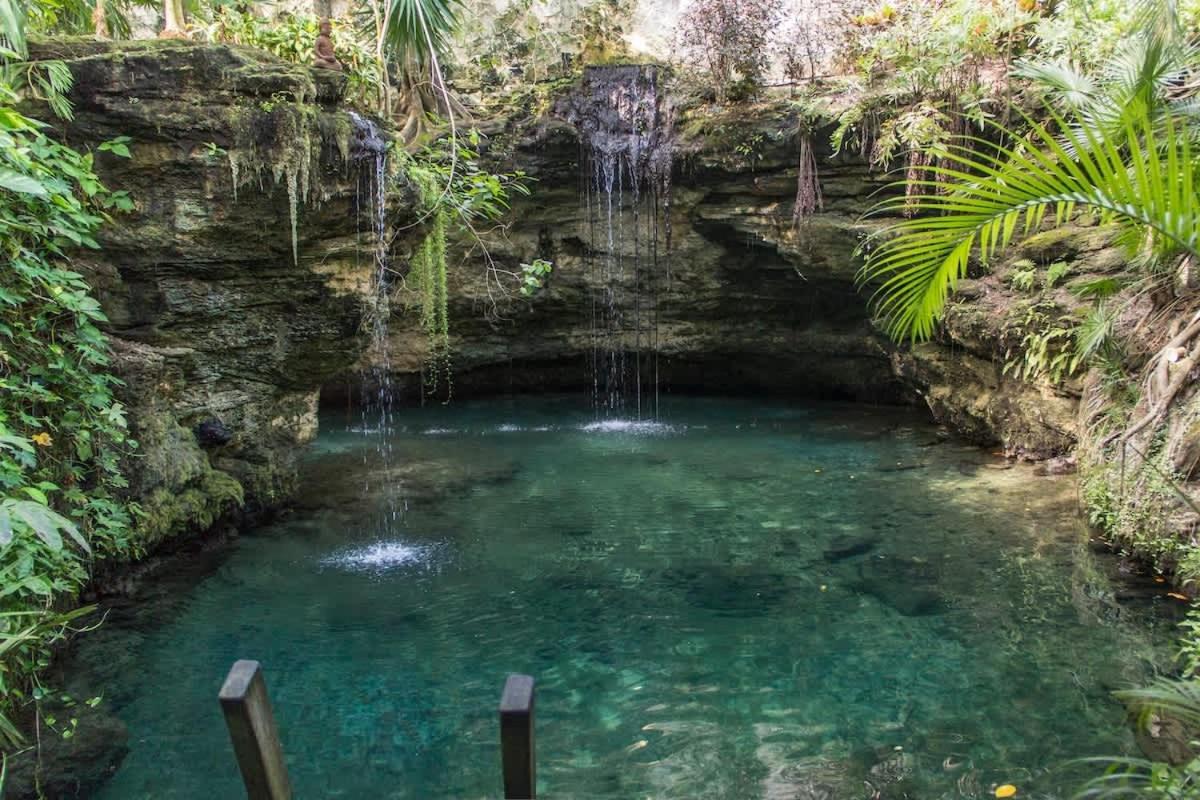 Tropical Oasis With Cenote & Pool Walk To Holiday home