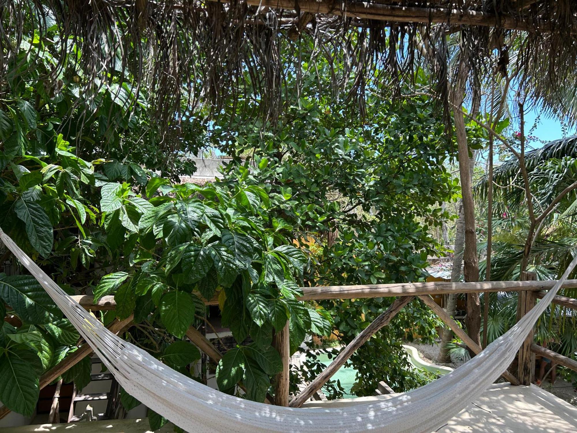 Quinta Salamandra *