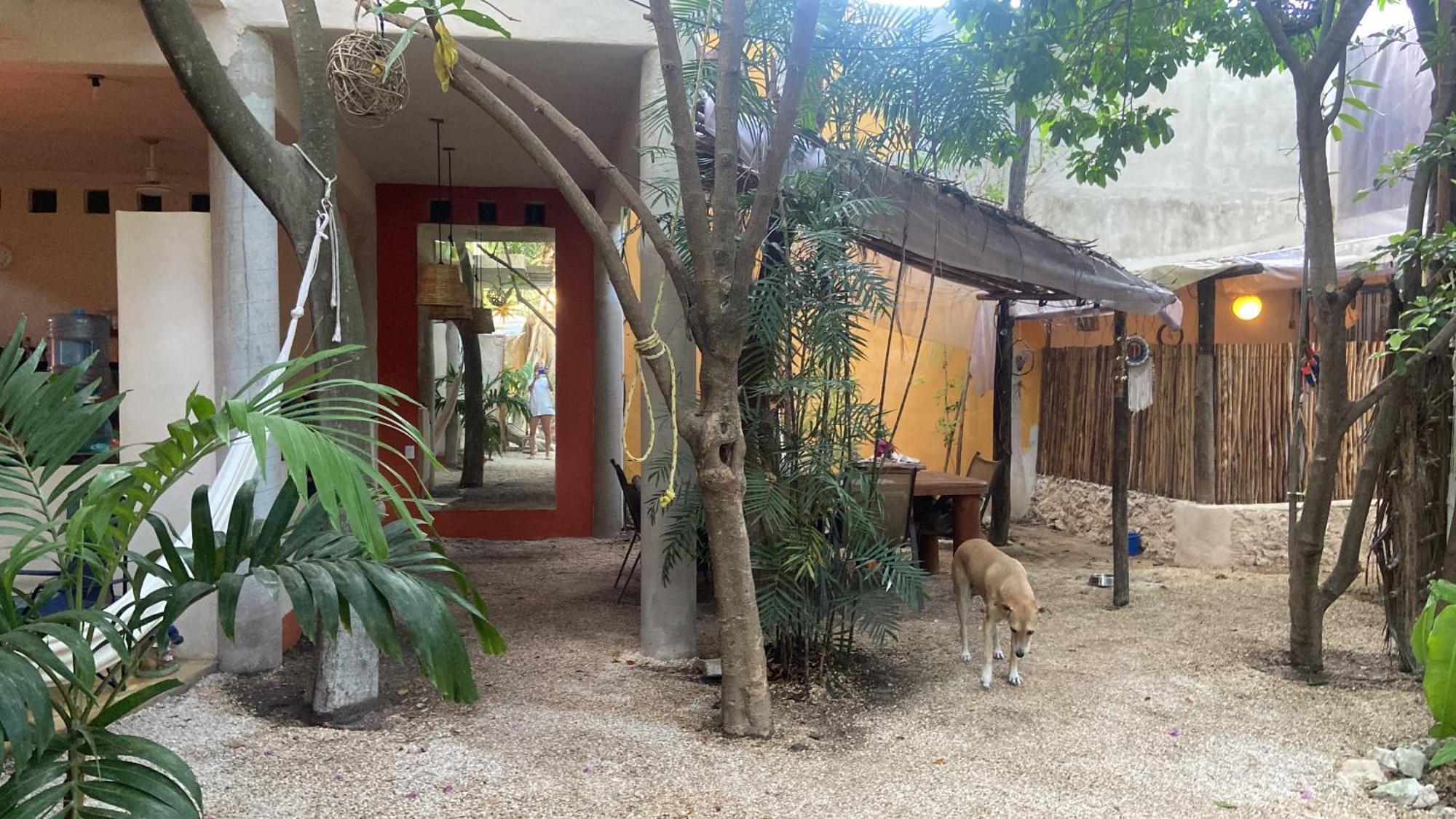 Quinta Salamandra * Playa del Carmen