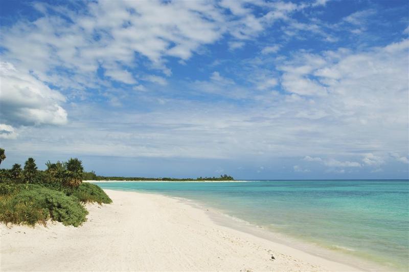 Hotel Royal Service At Paradisus La Perla (adults Only)