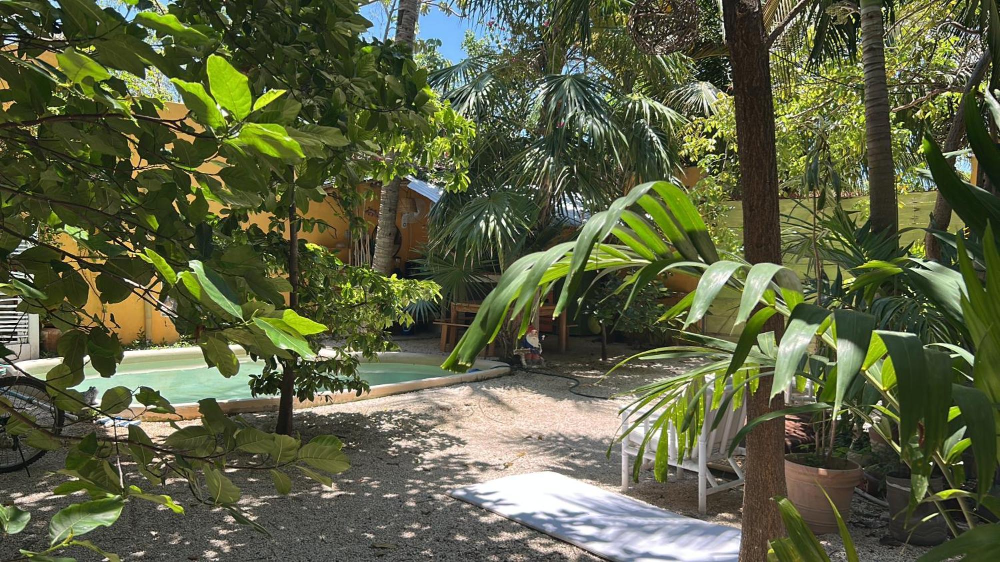 Quinta Salamandra