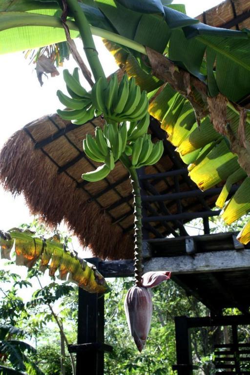 Appartement Casa Di Luca Playa del Carmen