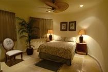 Hotel Blue Parrot