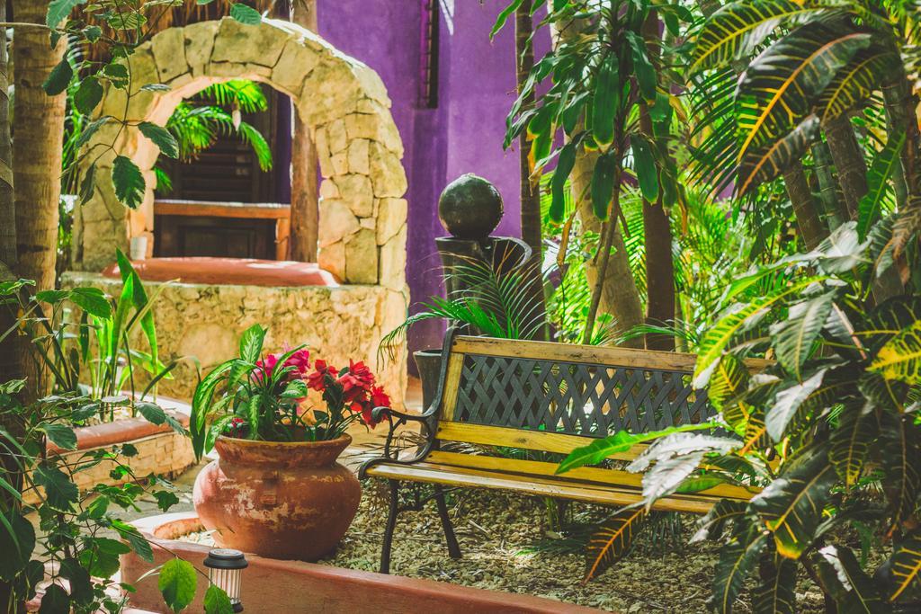 Cocos Adults Only Hotel Playa del Carmen