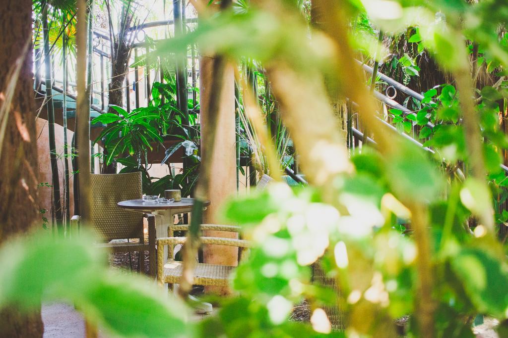 Cocos Adults Only 3* Playa del Carmen