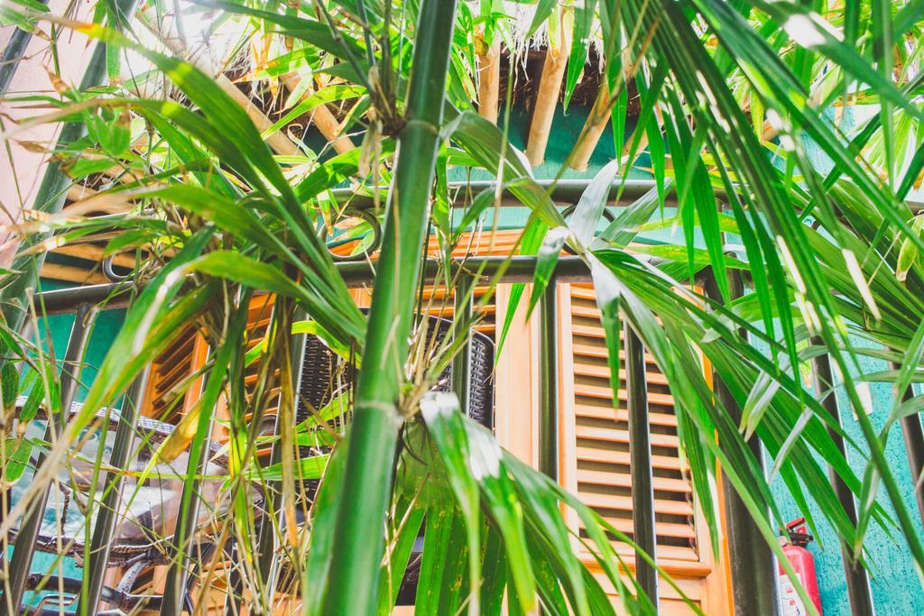 Cocos Adults Only 3* Playa del Carmen