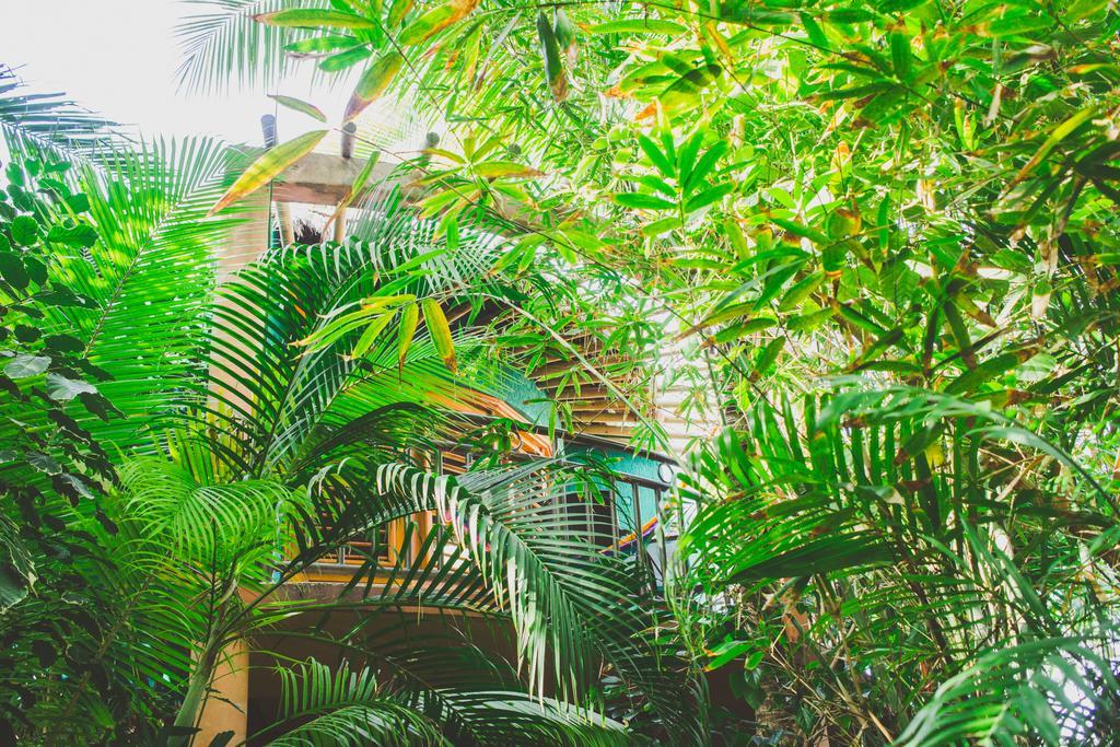 Cocos Adults Only 3* Playa del Carmen