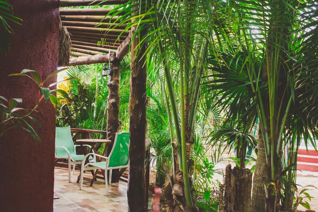 Cocos Adults Only 3* Playa del Carmen