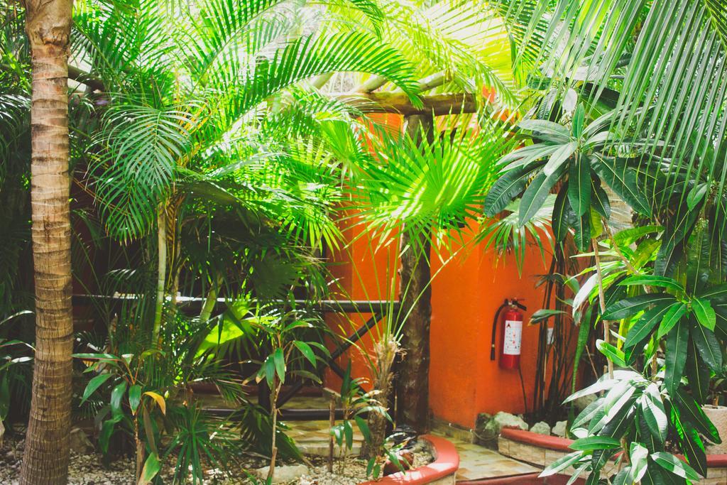 Cocos Adults Only Hotel