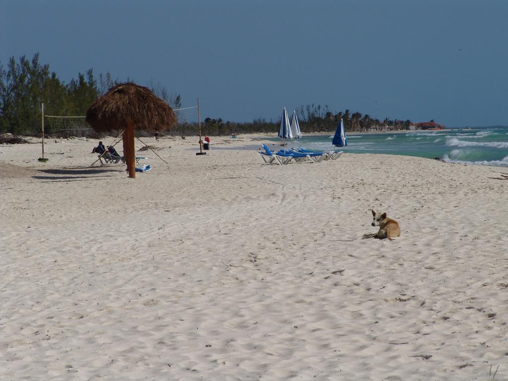 Cocos Adults Only 3* Playa del Carmen