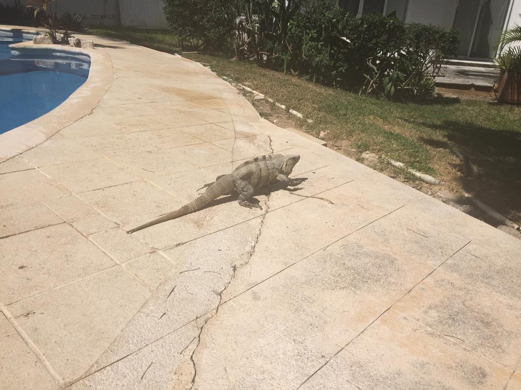 Casa Mi Tesoro Gasthuis Playa del Carmen