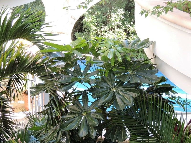 Casaejido Hotel