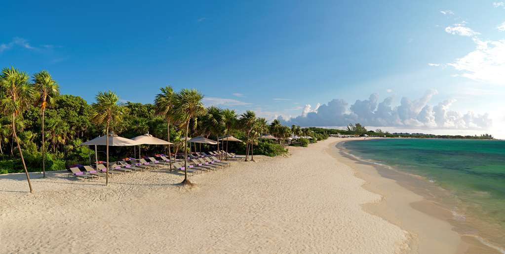 Royal Service At Paradisus La Perla (adults Only) 5* Playa del Carmen