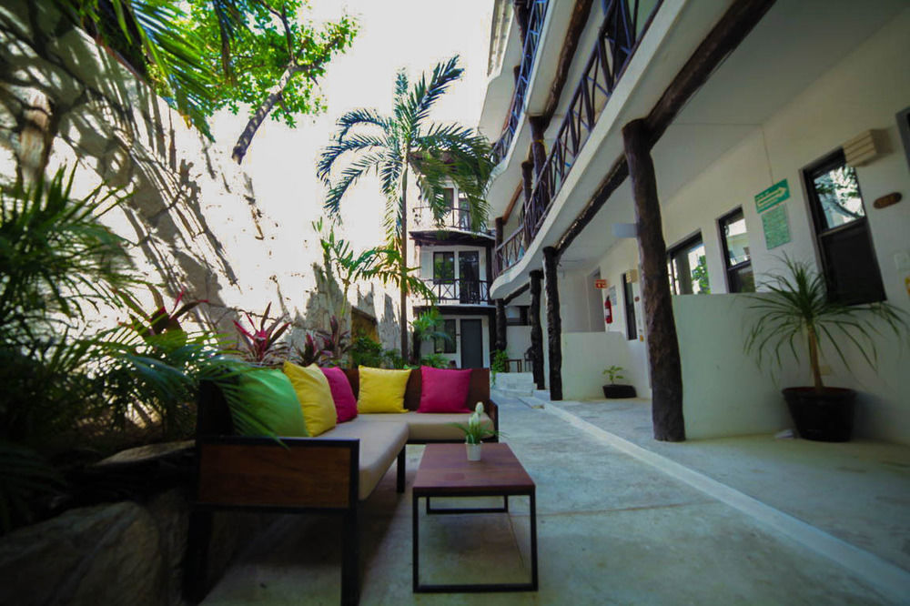 Siesta Fiesta Adults Only - 5th Avenue Playa del Carmen
