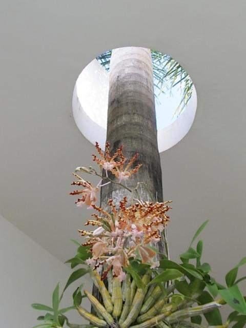 Appartement Casa Di Luca *