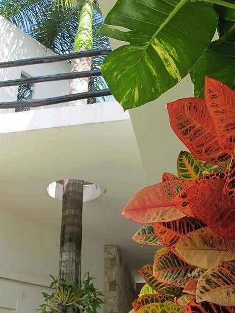 Casa Di Luca Appartement Playa del Carmen
